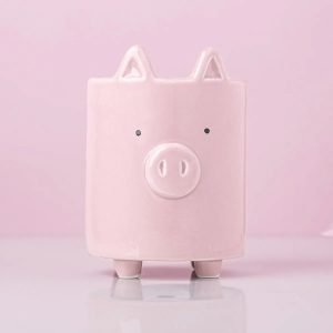 Maceta Chancho Chanchito Cerdo Cerámica Ideal Regalo - vista 2