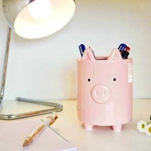 Maceta Chancho Chanchito Cerdo Cerámica Ideal Regalo - vista 3
