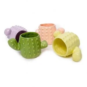 Maceta Cerámica Forma Cactus Suculenta