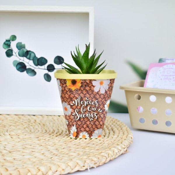 D_729969-MLA49424763417_032022-F-1.jpg D_729969-MLA49424763417_032022-F-1.jpg