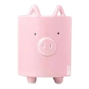 Maceta Chancho Chanchito Cerdo Cerámica Ideal Regalo