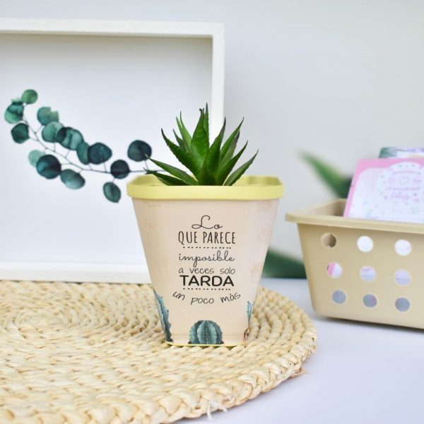 D_766733-MLA49424828111_032022-F-1.jpg D_766733-MLA49424828111_032022-F-1.jpg