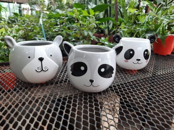 D_839078-MLA48420703248_122021-F-1.jpg D_839078-MLA48420703248_122021-F-1.jpg