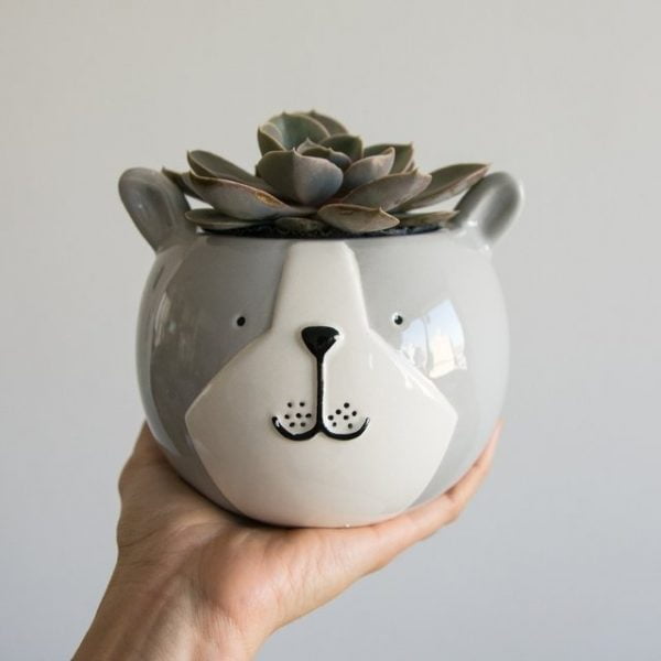 D_852377-MLA49120903462_022022-F-1.jpg D_852377-MLA49120903462_022022-F-1.jpg