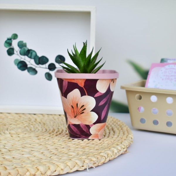 D_921100-MLA49424859033_032022-F-1.jpg D_921100-MLA49424859033_032022-F-1.jpg