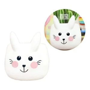 Maceta Cerámica Forma Conejo Feliz Regalo Original Deco Caja