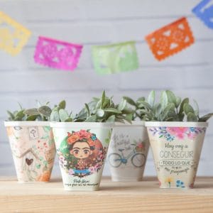 X6 Macetas Estampadas Deco Vintage Colgante Diseños 10x10cm - vista 7