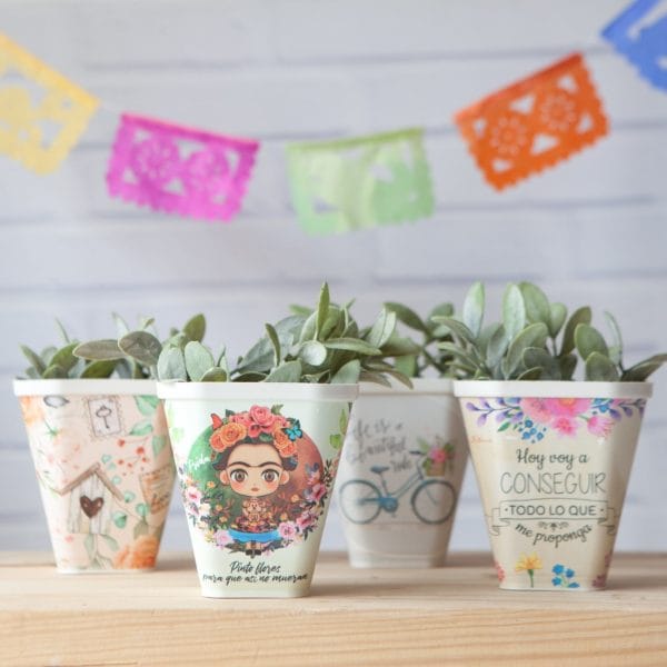 MACETA COLGANTE MACETA COLGANTE