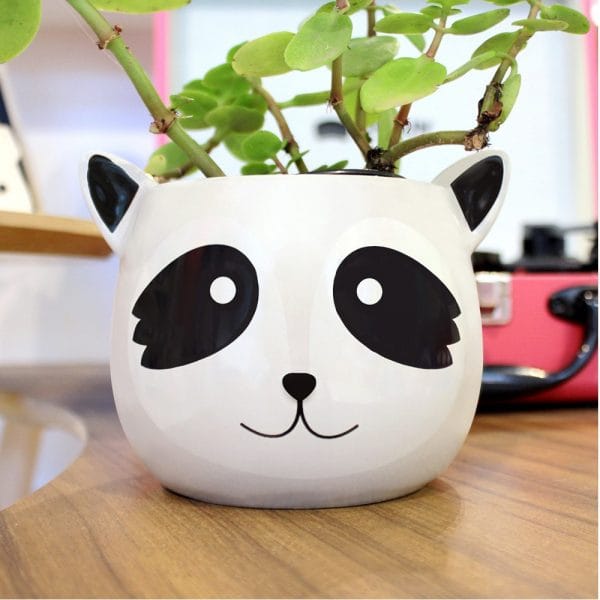 MACETA MAPACHE MACETA MAPACHE