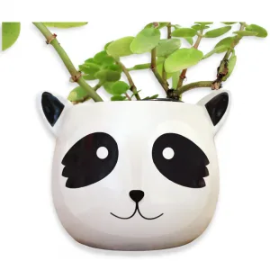Lapicero Porta Lapices Ceramica Mapache Organizador Maceta