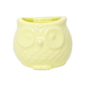 Maceta Hubo Amarillo