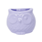 Maceta Hubo Violeta