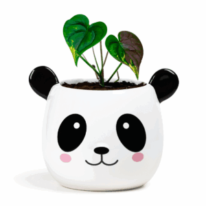 Maceta Cerámica Panda Feliz - vista 2