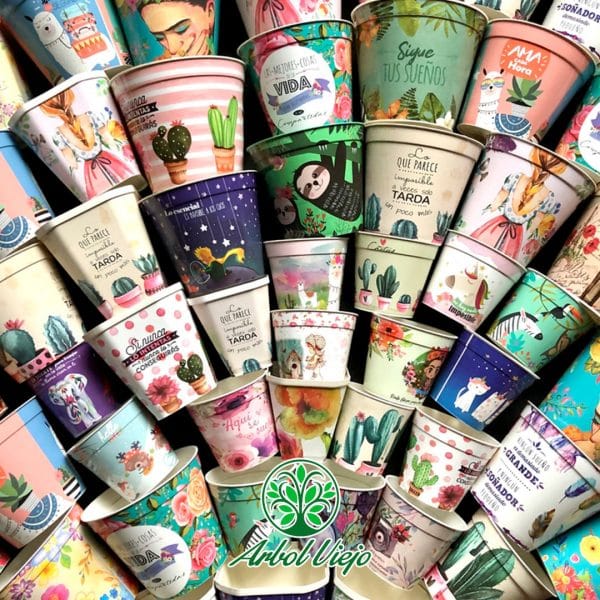 MACETA SURTIDO MACETA SURTIDO