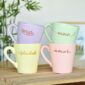 TAZA PASTEL SEGUNDA SELECCIÓN