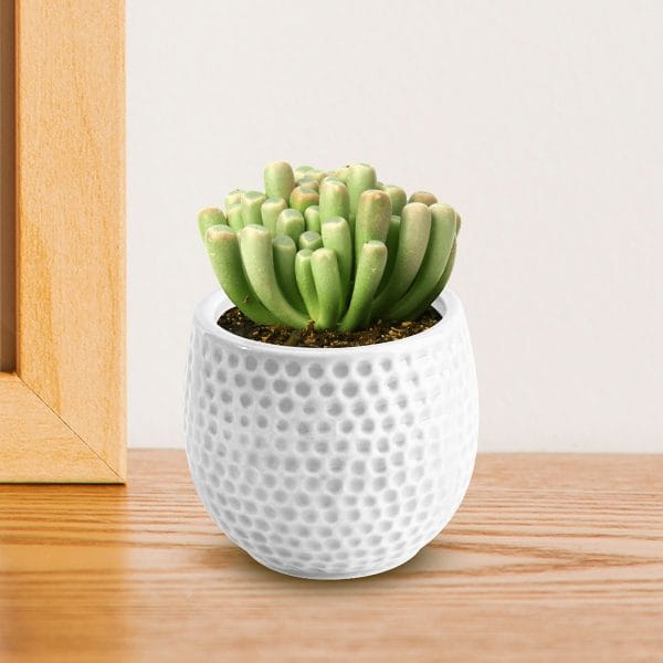 MACETA GLAM BLANCA FONDO MACETA GLAM BLANCA FONDO