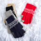 Guantes adultos 21cm MM-Q521 Surtido invierno