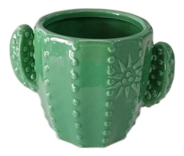 Macetas de Cactus Suculentas 1 Macetas de Cactus Suculentas 1