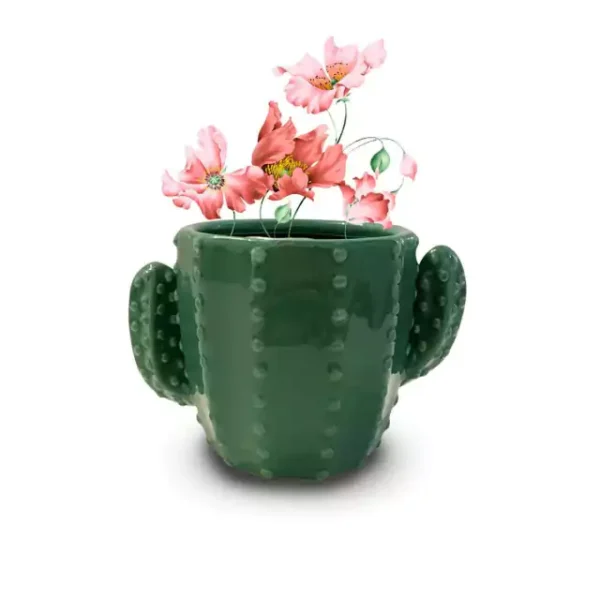 Macetas de Cactus Suculentas 2 Macetas de Cactus Suculentas 2