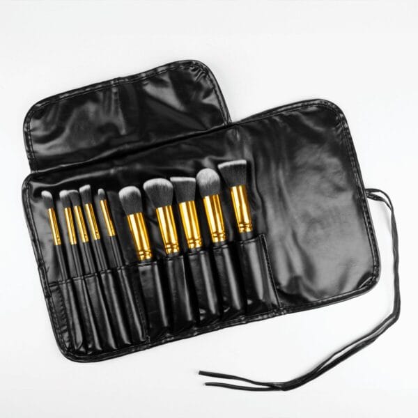 set10brochasestuche-3 set10brochasestuche-3