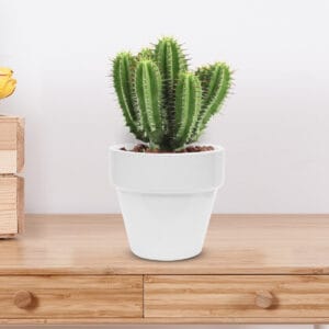 Maceta De Ceramica Mini Classic Decoracion Moderno - vista 2