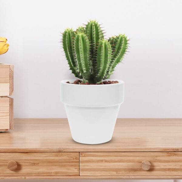 mi classic blanca mi classic blanca