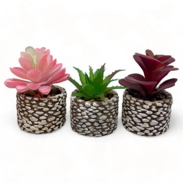 334ECE4F-435F-4902-8091-0DBC5B679CAD-PhotoRoom 334ECE4F-435F-4902-8091-0DBC5B679CAD-PhotoRoom