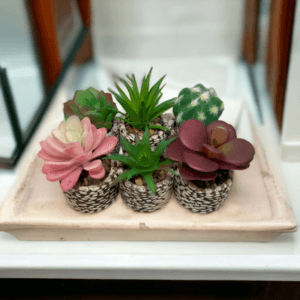 Plantas Artificiales x3 Maceta Piedra - vista 4