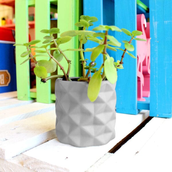 MACETA CILINDRO 2 MACETA CILINDRO 2