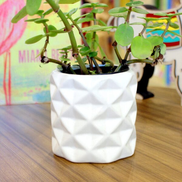 MACETA CILINDRO 3 MACETA CILINDRO 3