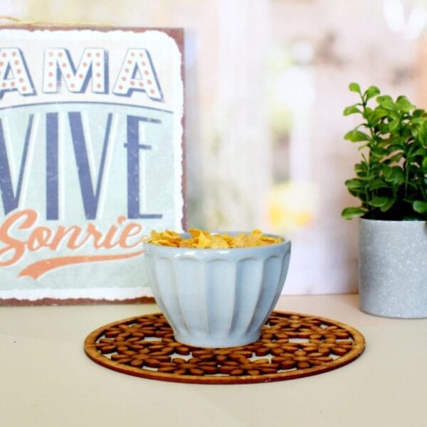 bowls vainilla 2 bowls vainilla 2