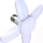 luz fan