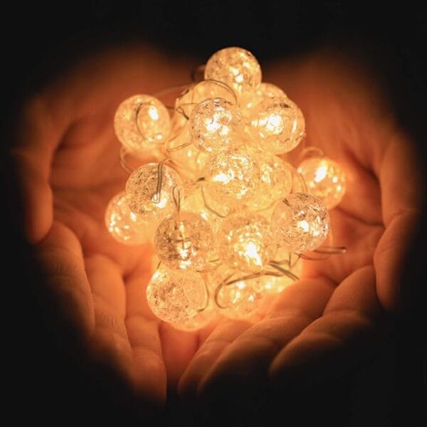 61l2wt9jYgL._AC_SX679_ 61l2wt9jYgL._AC_SX679_