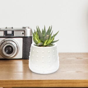 Maceta Cactus de ceramica Tachas Blanca - vista 2