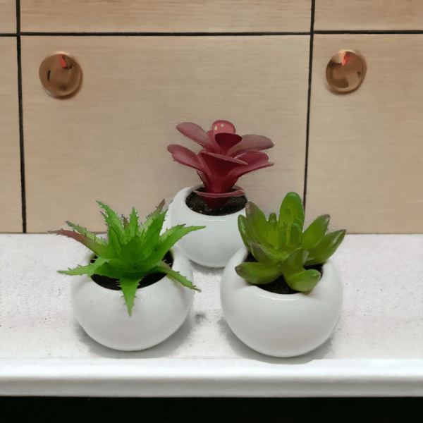 WhatsApp Image 2023-09-12 at 17.05-PhotoRoom (1) WhatsApp Image 2023-09-12 at 17.05-PhotoRoom (1)