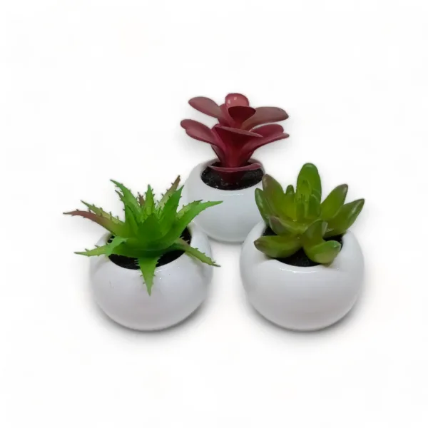 WhatsApp Image 2023-09-12 at 17.05-PhotoRoom