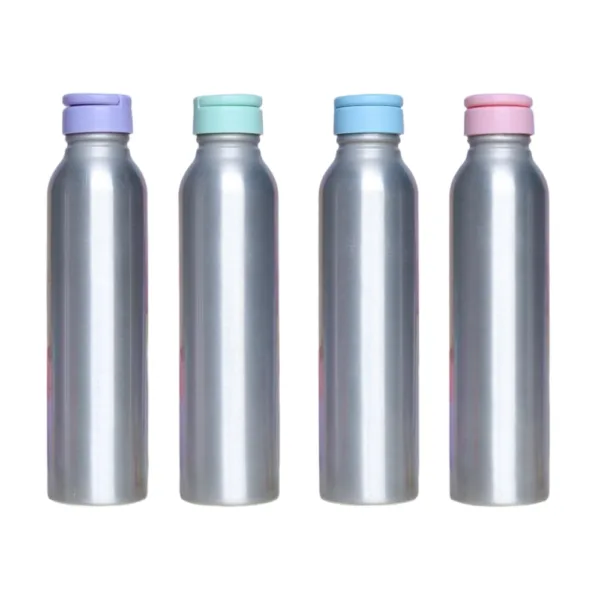 Botella Aluminio Plateada 500cc