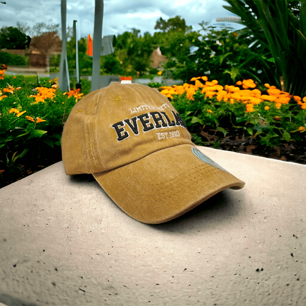 GORRA CAP EVERLAST 14181 2 GORRA CAP EVERLAST 14181 2