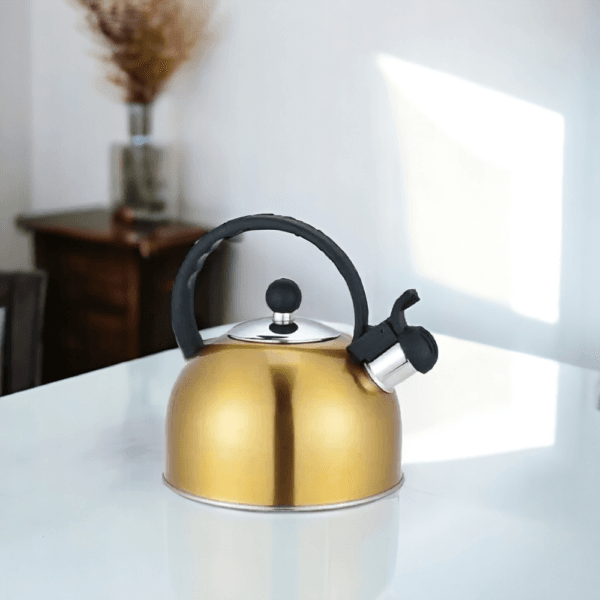 PAVAS 2-Photoroom PAVAS 2-Photoroom