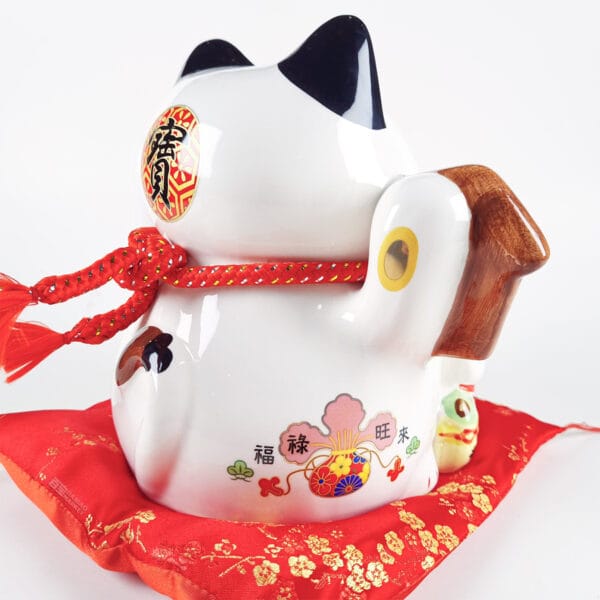 gato 5 copia 1 gato 5 copia 1