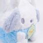carterapochacco-2