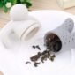 infusorhombrecito-3