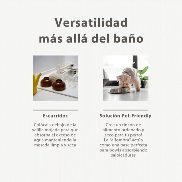 placaabsrobentebaño-4 placaabsrobentebaño-4