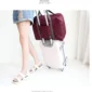 Bolso de Viaje Plegable Organizado ( (6)
