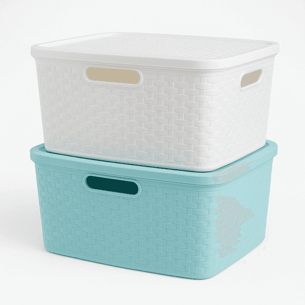 Canasto Rattan con Tapa 15L