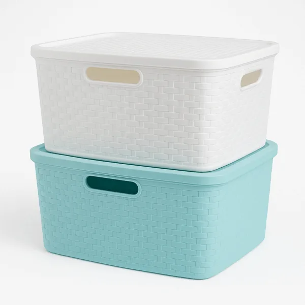 Canasto Rattan con Tapa 15L