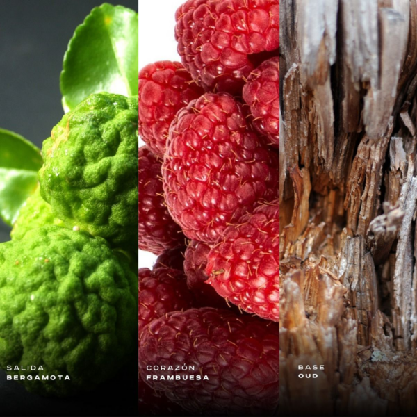 paste_20260225203937 paste_20260225203937