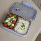 vianda lunch box