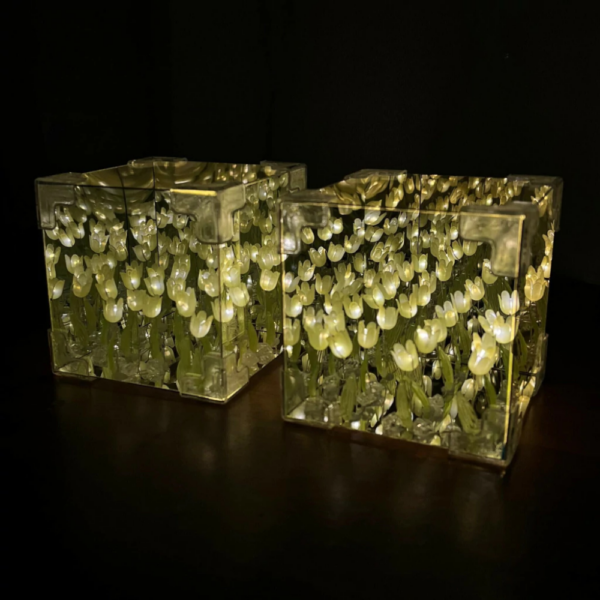 tiulipan-Photoroom.png Lámpara Led Tulipanes Cubo Decorativa Espejo Infinito Regalo