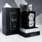 Perfume Ansaam Pride Silver Eau de Parfum 100ml hombre